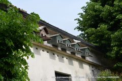 NKN_1884